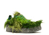 Cactus Plant Flea Market x CPFM Flea 1 Overgrown