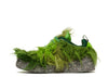 Cactus Plant Flea Market x CPFM Flea 1 Overgrown